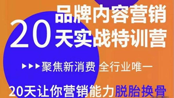 【副业项目3899期】《内容营销实操特训营》20天让你营销能力脱胎换骨（价值3999）-奇才轻创