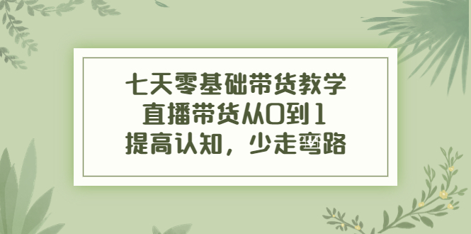 【副业项目4305期】七天零基础带货教学：直播带货从0到1，提高认知，少走弯路-奇才轻创