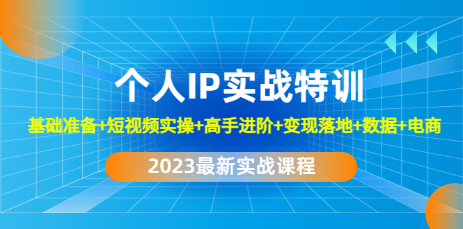 【副业项目4959期】2023个人IP实战特训：基础准备+短视频实操+高手进阶+变现落地+数据+电商-奇才轻创