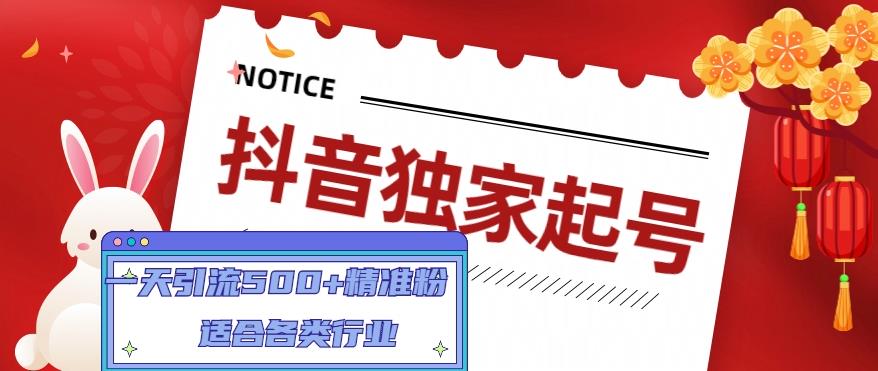 【副业项目5106期】抖音独家起号，一天引流500+精准粉，适合各类行业（9节视频课）-奇才轻创