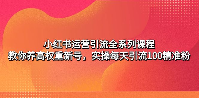 【副业项目5144期】小红书运营引流全系列课程：教你养高权重新号，实操每天引流100精准粉-奇才轻创