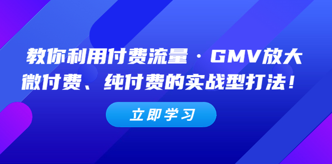 【副业项目5265期】教你利用付费流量·GMV放大，微付费、纯付费的实战型打法-奇才轻创