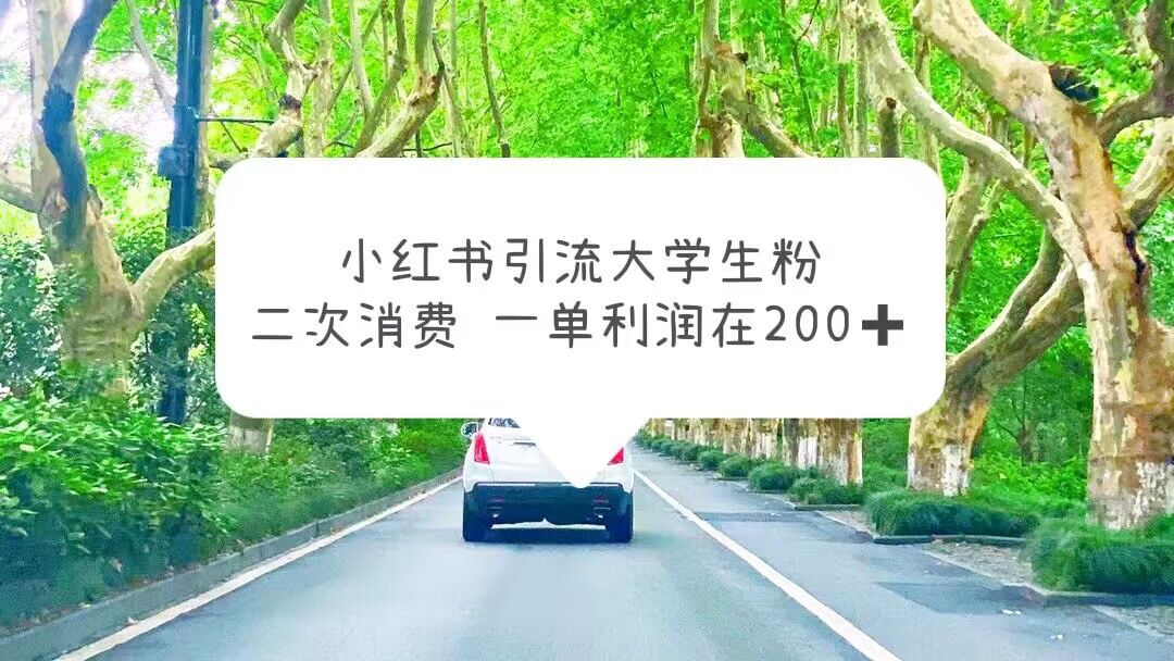 【副业项目5937期】小红书引流大学生粉，变现项目，一单利润在200+（教程+资源）-奇才轻创