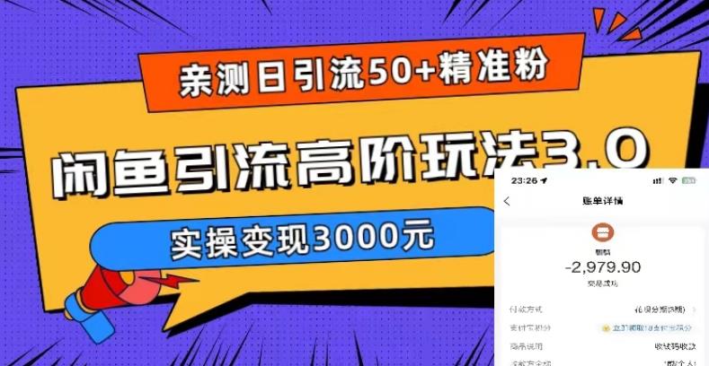 【副业项目5795期】实测日引50+精准粉，闲鱼引流高阶玩法3.0，实操变现3000元-奇才轻创