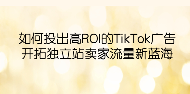 【副业项目6124期】如何投出高ROI·TikTok广告，开拓独立站卖家流量新蓝海-奇才轻创