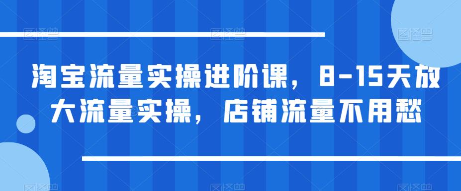 【副业项目6415期】淘宝流量实操进阶课，8-15天放大流量实操，店铺流量不用愁-奇才轻创