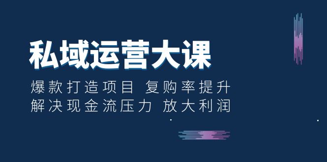 【副业项目6574期】私域运营大课：爆款打造项目 复购率提升 解决现金流压力 放大利润-奇才轻创