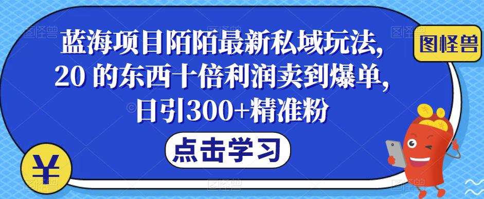 【副业项目6699期】蓝海项目陌陌最新私域玩法，20 的东西十倍利润卖到爆单，日引300+精准粉【揭秘】-奇才轻创