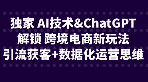 【副业项目6780期】独家 AI技术&ChatGPT解锁 跨境电商新玩法，引流获客+数据化运营思维-奇才轻创