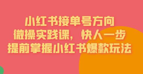 【副业项目6820期】接单号方向·小红书微操实践课，快人一步，提前掌握小红书爆款玩法-奇才轻创