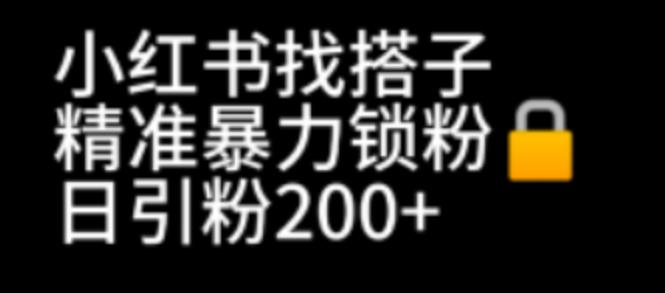 【副业项目7040期】小红书找搭子暴力精准锁粉+引流日引200+精准粉-奇才轻创