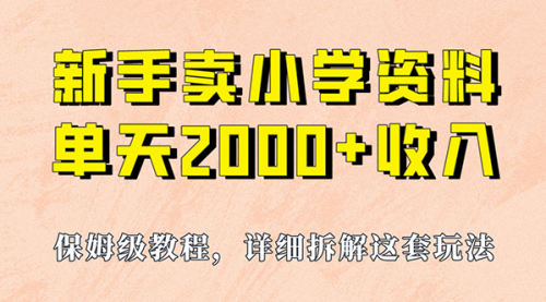 【副业项目7100期】卖小学资料，实现单天2000+，实操项目，保姆级教程+资料+工具-奇才轻创