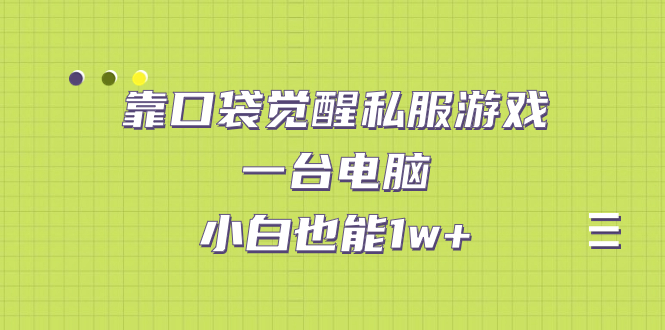 【副业项目7248期】靠口袋觉醒私服游戏，一台电脑，小白也能1w+（教程+工具+资料）-奇才轻创