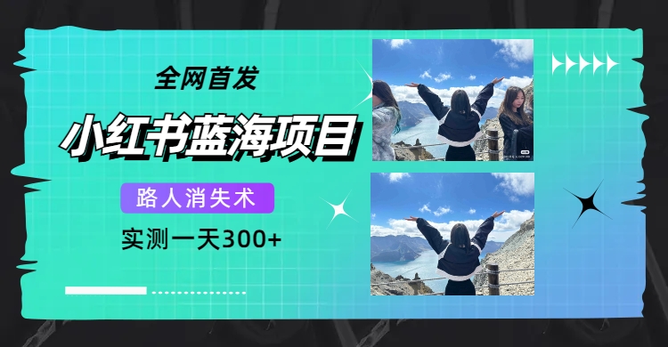 【副业项目7750期】全网首发，小红书蓝海项目，路人消失术，实测一天300+（教程+工具）-奇才轻创