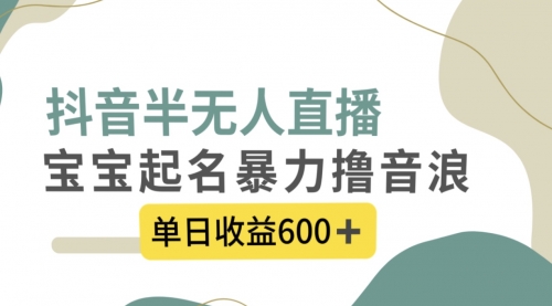 【副业项目8385期】抖音半无人直播，宝宝起名，暴力撸音浪，单日收益600+-奇才轻创