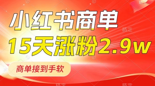 【副业项目8480期】小红书商单最新玩法，新号15天2.9w粉，接单到手软-奇才轻创