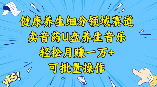 【副业项目8638期】健康养生细分领域赛道，卖音药U盘养生音乐，轻松月赚一万+，可批量操作-奇才轻创