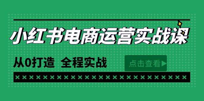 最新小红书·电商运营实战课，从0打造  全程实战（65节视频课）-奇才轻创