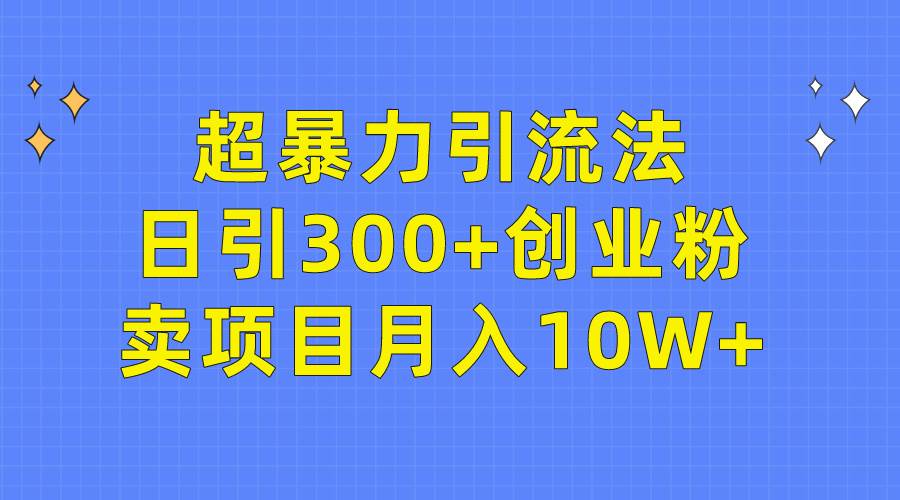 超暴力引流法，日引300+创业粉，卖项目月入10W+-奇才轻创