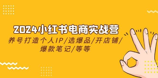 2024小红书电商实战营，养号打造IP/选爆品/开店铺/爆款笔记/等等（24节）-奇才轻创