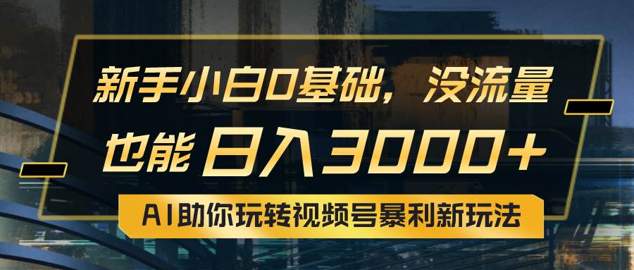 小白0基础，没流量也能日入3000+：AI助你玩转视频号暴利新玩法-奇才轻创