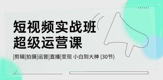 短视频实战班-超级运营课，|剪辑|拍摄|运营|直播|变现 小白到大神 (30节)-奇才轻创