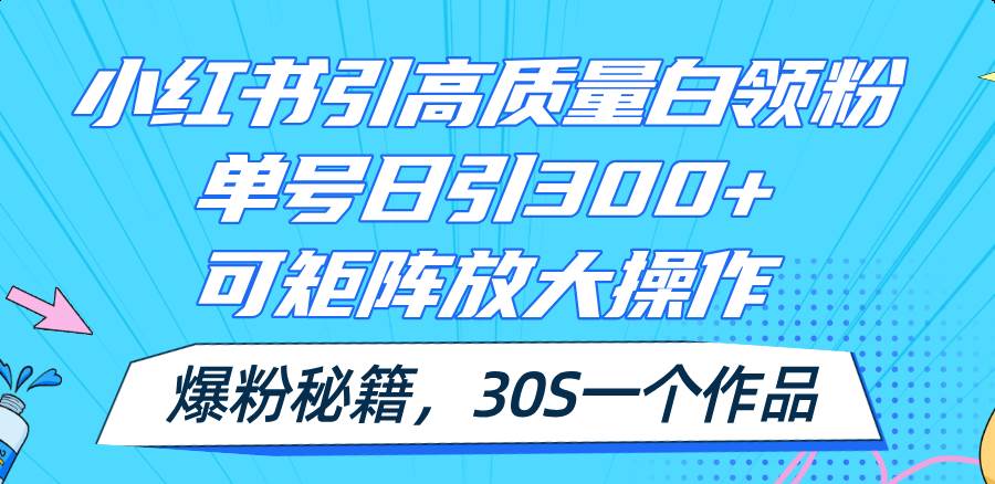 小红书引高质量白领粉，单号日引300+，可放大操作，爆粉秘籍！30s一个作品-奇才轻创