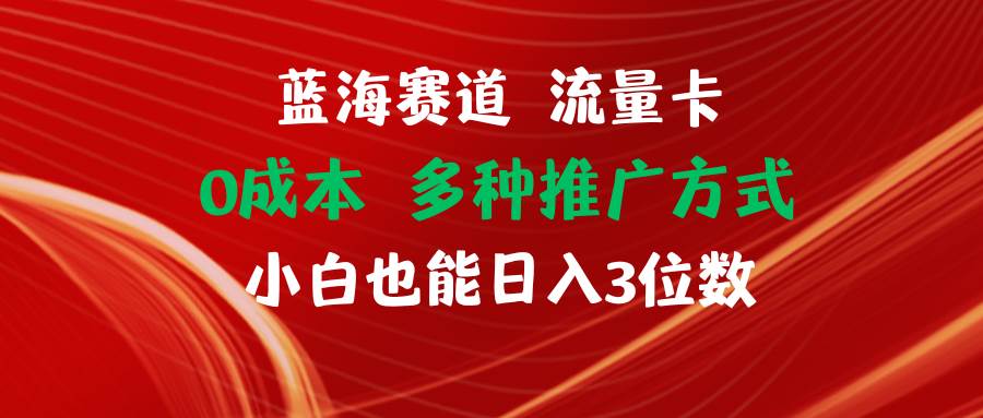 蓝海赛道 流量卡 0成本 小白也能日入三位数-奇才轻创