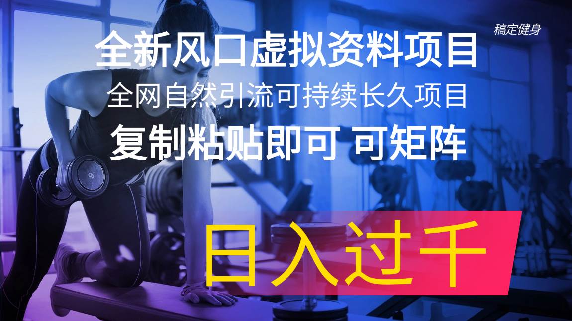 全新风口虚拟资料项目 全网自然引流可持续长久项目 复制粘贴即可可矩阵…-奇才轻创