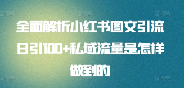 全面解析小红书图文引流日引100私域流量是怎样做到的-奇才轻创