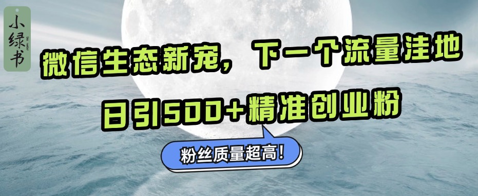 微信生态新宠小绿书：下一个流量洼地，粉丝质量超高，日引500+精准创业粉，-奇才轻创