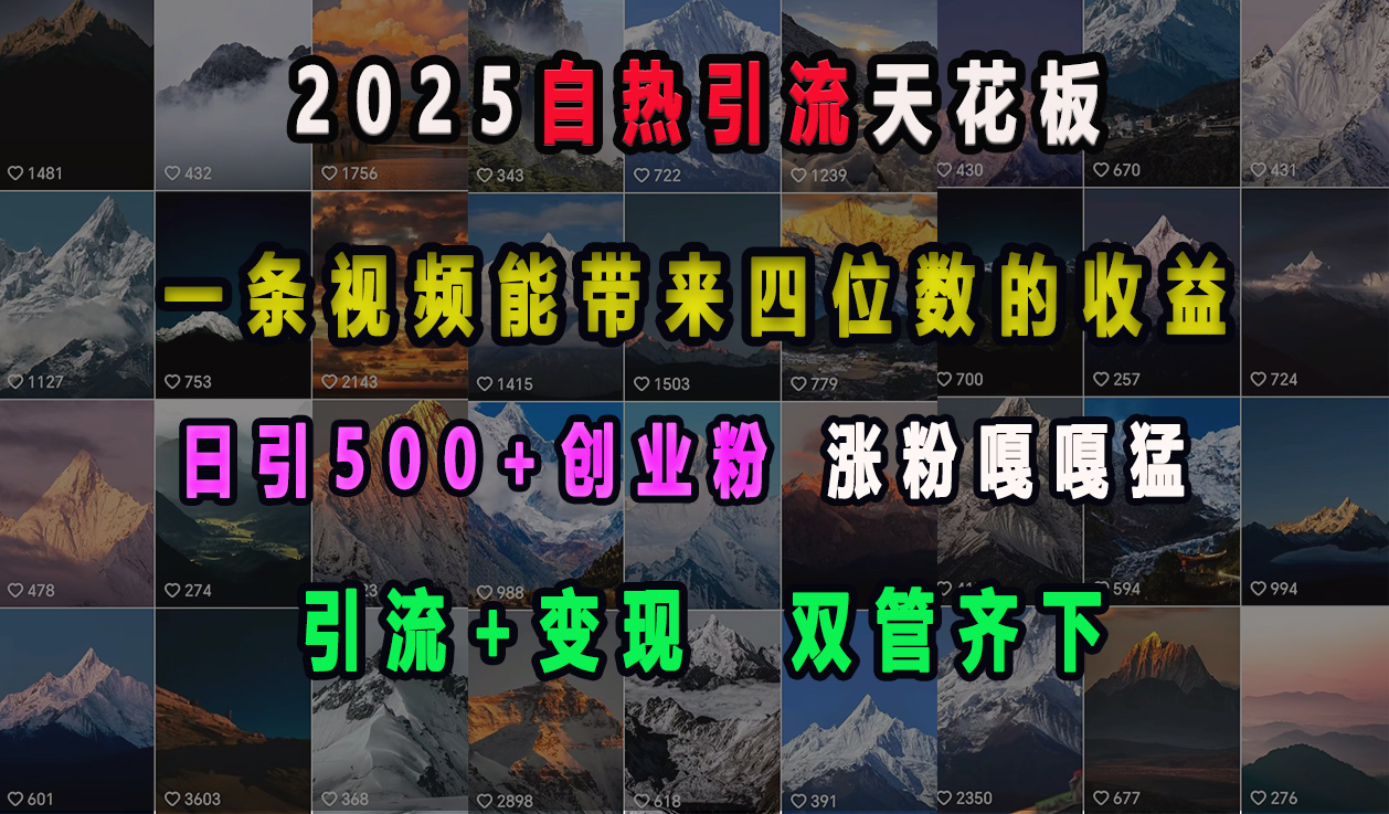 2025自热引流天花板，一条视频能带来四位数的收益，引流+变现双管齐下，日引500+创业粉，涨粉嘎嘎猛-奇才轻创